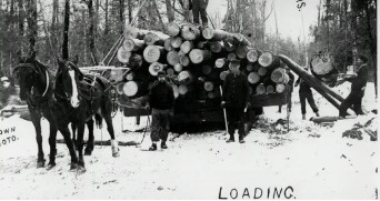 logging image in Rib Lake area