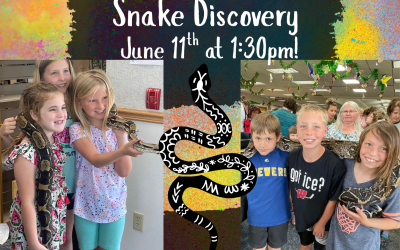 Snake Discovery